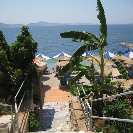 Apartment Tare